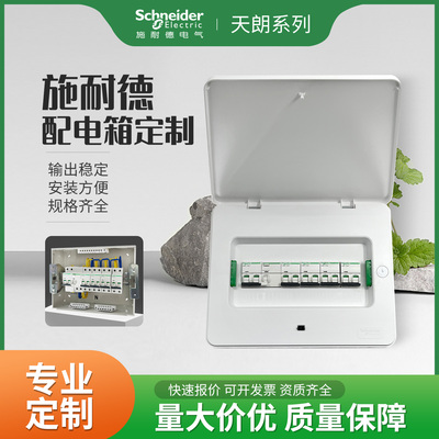 施耐德明暗装12回路天朗配电箱