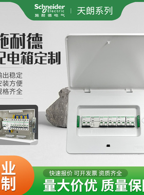 施耐德天朗配电箱定制16暗装TLA08B明装TLM20B回路pz30强电箱成套