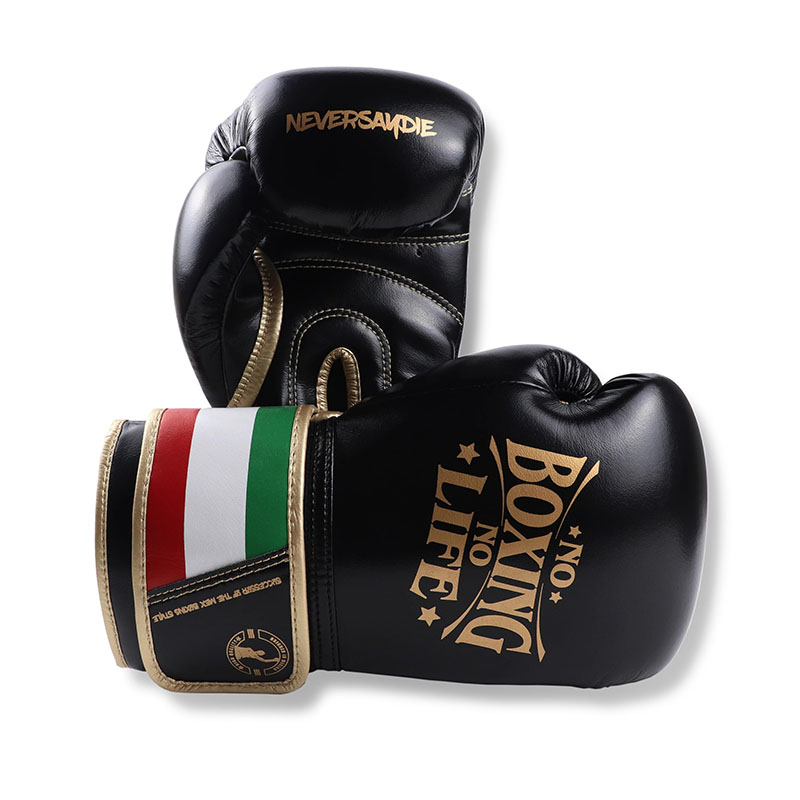 成人搏击NoBoxingNoLife拳击手套