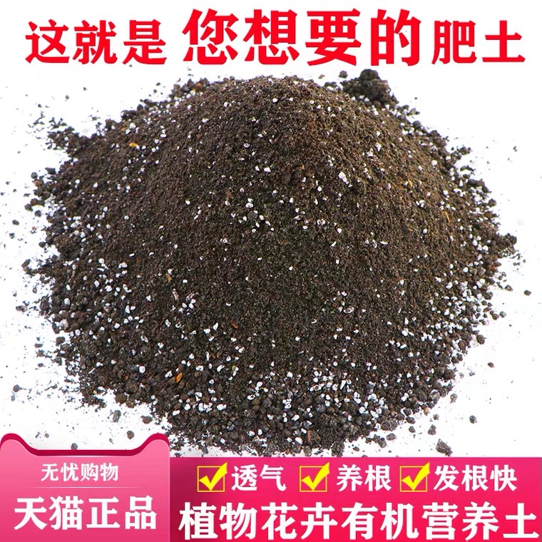 营养土石头装饰品陶粒花盆园艺