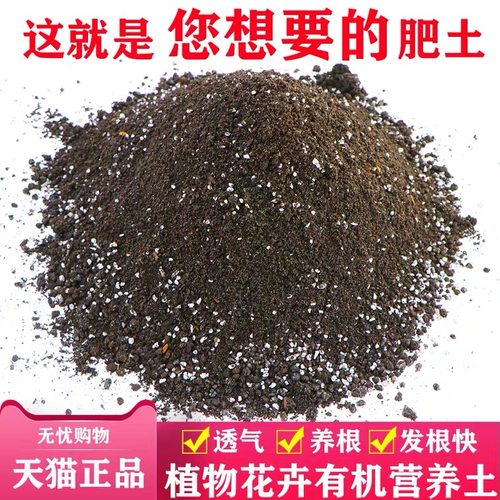 营养土石头装饰品陶粒花盆园艺
