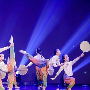 风吹稻花香两岸舞蹈服舞蹈扇子丰收主题服装儿童经典舞致敬袁隆平