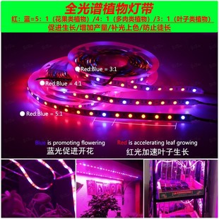 新疆西藏包邮5050多肉植物生长花果蔬菜led软灯条复合补光灯4红1