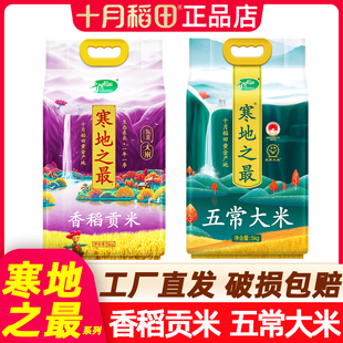 十月稻田寒地之最五常大米5kg香稻贡米5kg官方正品旗舰发货