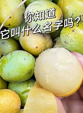 云南便宜现货水果纯野生酸枣新鲜酸甜南酸枣五眼果鼻涕果孕妇原味