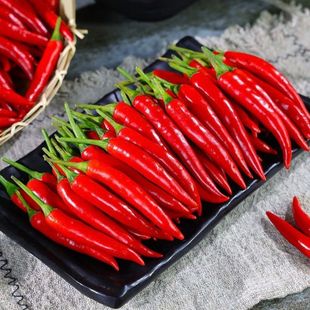 新鲜小米椒厨房食材指天椒新鲜直达特辣爽口红辣椒指天椒新鲜薄皮