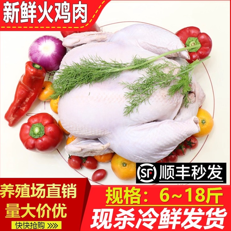 新鲜整只火鸡肉5-25斤顺丰包邮