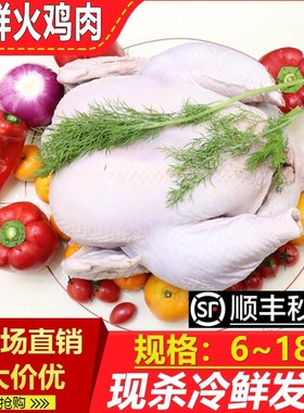 火鸡肉冰鲜冷冻Turkey圣诞节感恩节火鸡整只国产火鸡肉烤火鸡包邮