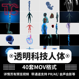 人体生物医学未来科技智能数据分析智能机器人MOV透明通道素材