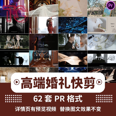 高端婚礼预告片PR模板婚礼