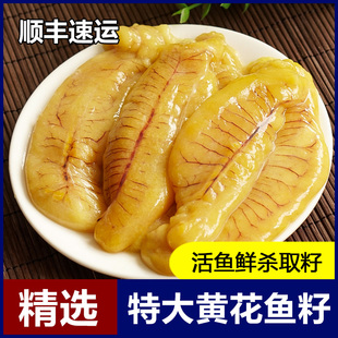 黄花鱼籽新鲜超大鱼泡鱼子鱼肚鱼白鱼膘鱼杂鲜活海鲜鱼籽冷冻商用