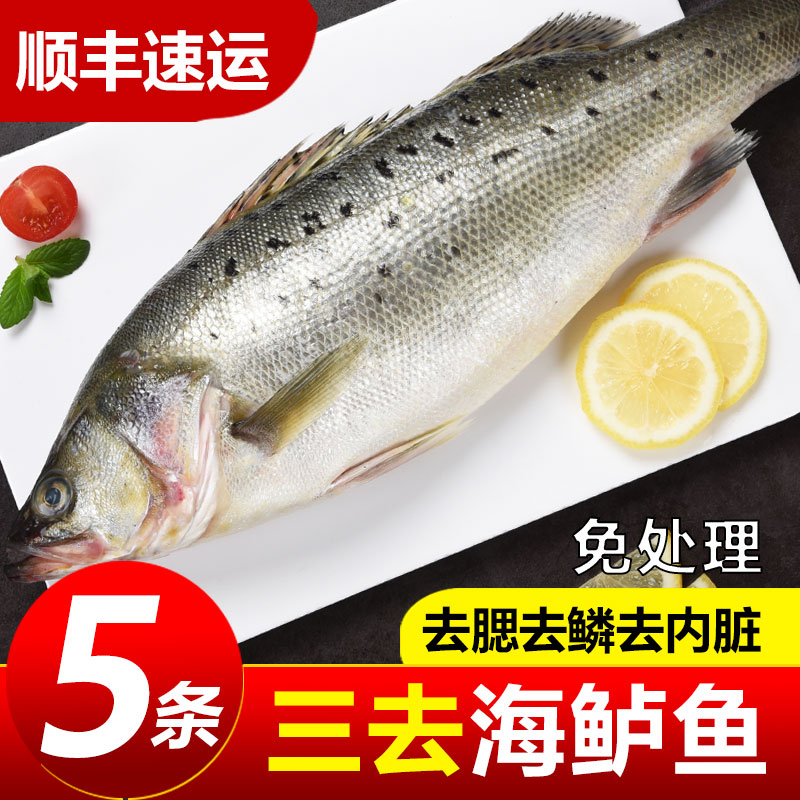 三去海鲈鱼新鲜冷冻海鱼鲜活深海鱼七星鱼海鲜水产海产品冰鱼卢鱼