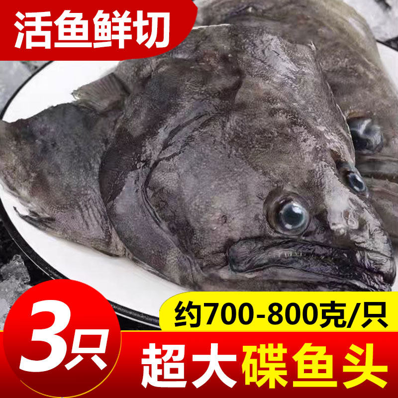 碟鱼头冷冻鲽鱼头超大鸦片鱼头深海新鲜比目鱼雅片鱼头蝶鱼头海鲜