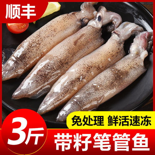 带籽新鲜笔管鱼海兔子