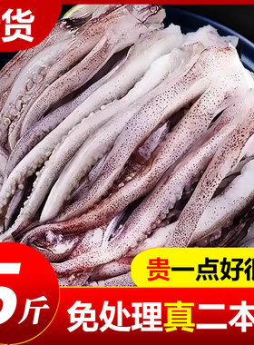 新鲜鱿鱼须鲜活冷冻二本足章鱼生鲜尤鱼铁板鱿鱼串腿海鲜商用批发