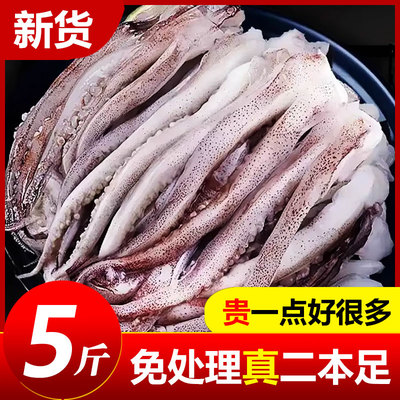 新鲜鱿鱼须鲜活冷冻二本足章鱼生鲜尤鱼铁板鱿鱼串腿海鲜商用批发