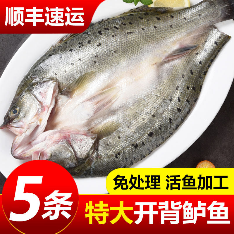 开背海鲈鱼新鲜冷冻深海鱼七星鱼三去卢鱼海鲜水产烤鱼半成品商用