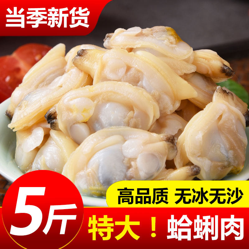 蛤蜊肉花甲鲜活花蛤黄蚬子肉花甲肉新鲜花螺海螺海鲜贝非干货即食
