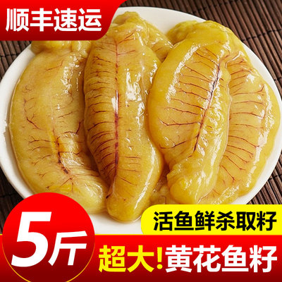 【活鱼取籽】黄花鱼籽新鲜顺丰