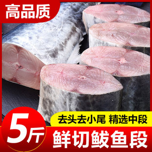 新鲜现切鲅鱼段海捕大鲅鱼海鲜鲜活水产冷冻海鱼马鲛鱼中段批发