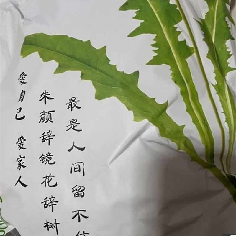 新日期蒲公英茶新鲜浦公英根干货夏枯草猫爪草郁金正品特