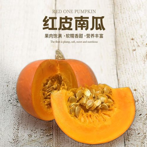 红皮南瓜果遇优万圣节