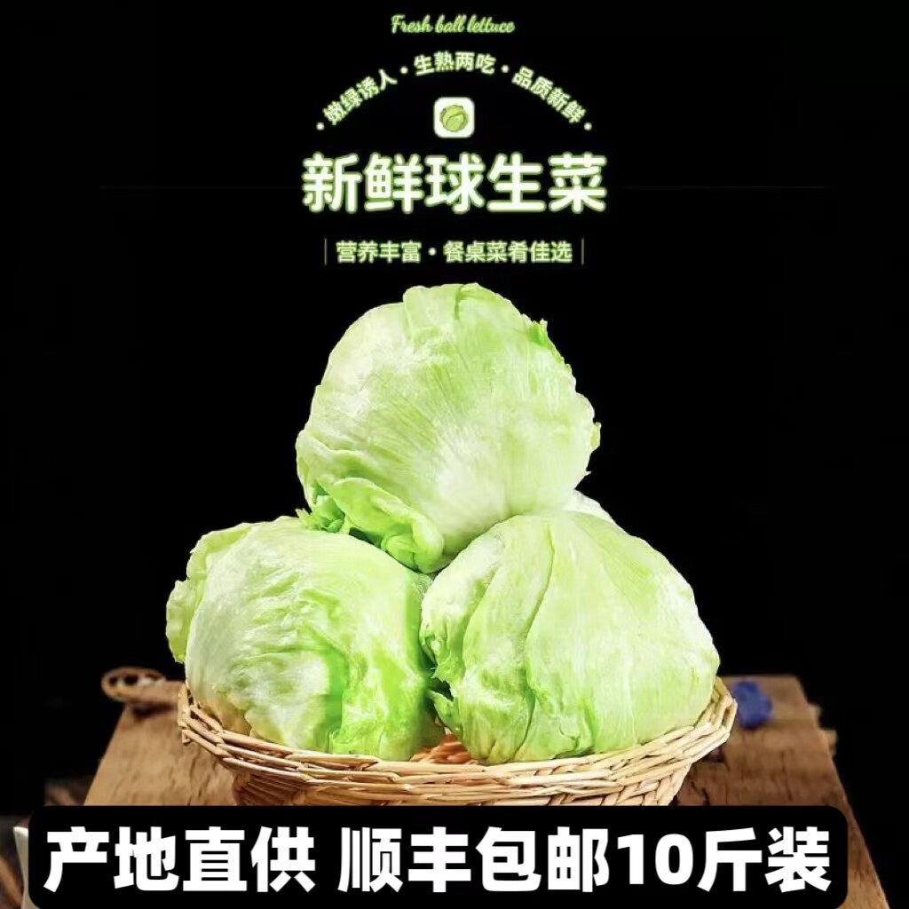 球生菜10斤 包邮 圆生菜西生菜 新鲜蔬菜沙拉食材西餐汉堡用生菜