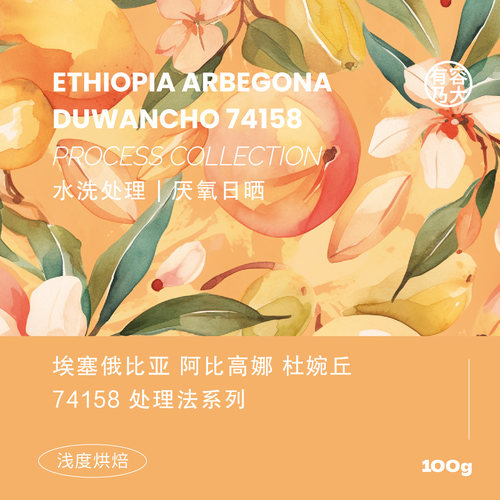 埃塞杜婉丘74158手冲拼配咖啡豆