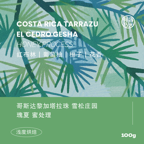 哥斯达黎加雪松瑰夏蜜处理咖啡豆