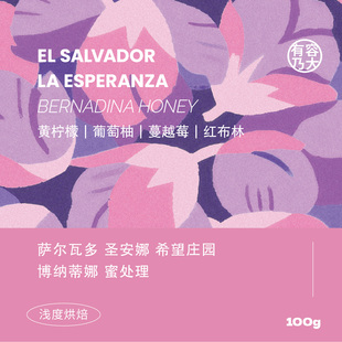 有容乃大萨尔瓦多希望庄园博纳蒂娜蜜处理浅焙单品手冲咖啡豆