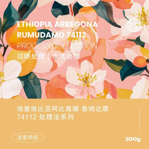 埃塞俄比亚鲁姆达摩日晒水洗浅焙