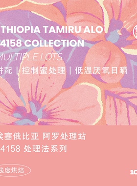 有容乃大埃塞俄比亚ALO阿罗74158多处理方式单品/拼配手冲咖啡豆