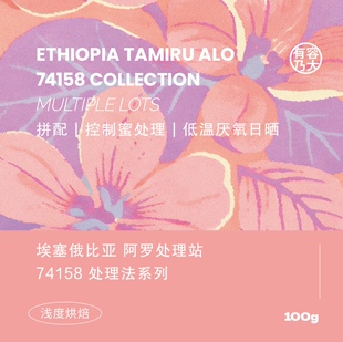 有容乃大埃塞俄比亚ALO阿罗74158多处理方式 拼配手冲咖啡豆 单品