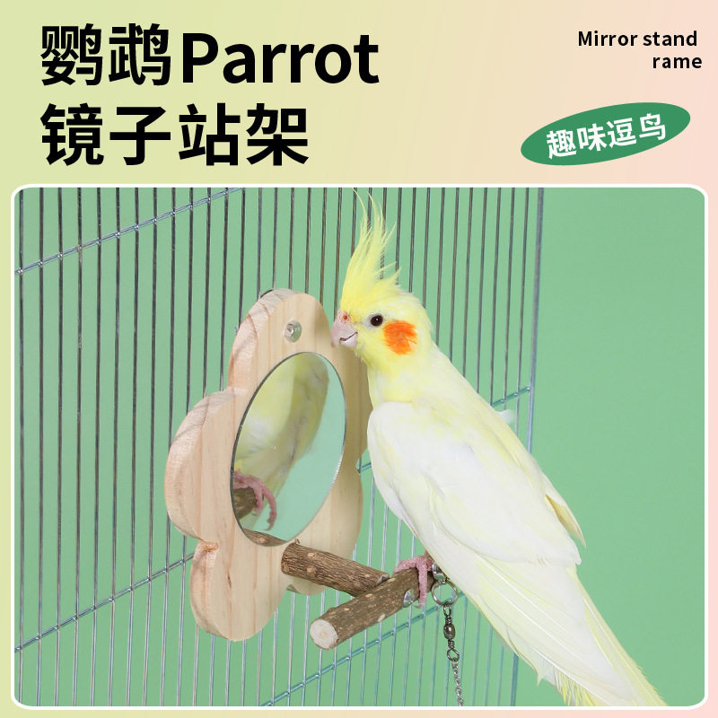 不锈钢磨砂鸟食杯带架