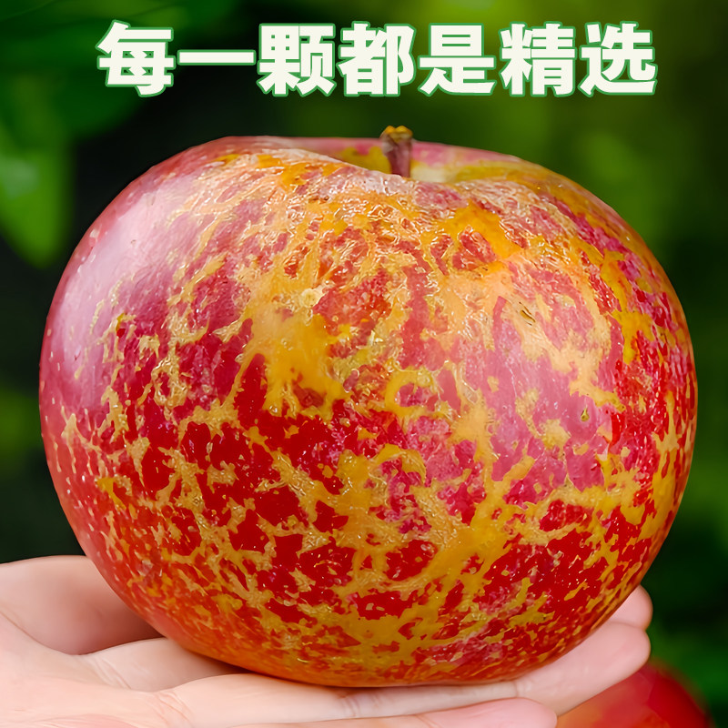 正宗云南昭通丑苹果红露冰糖心脆甜新鲜水果当季整箱红富士大凉山,水产肉类/新鲜蔬果/熟食,苹果,淘宝优惠券,粉丝福利购,淘宝优惠卷