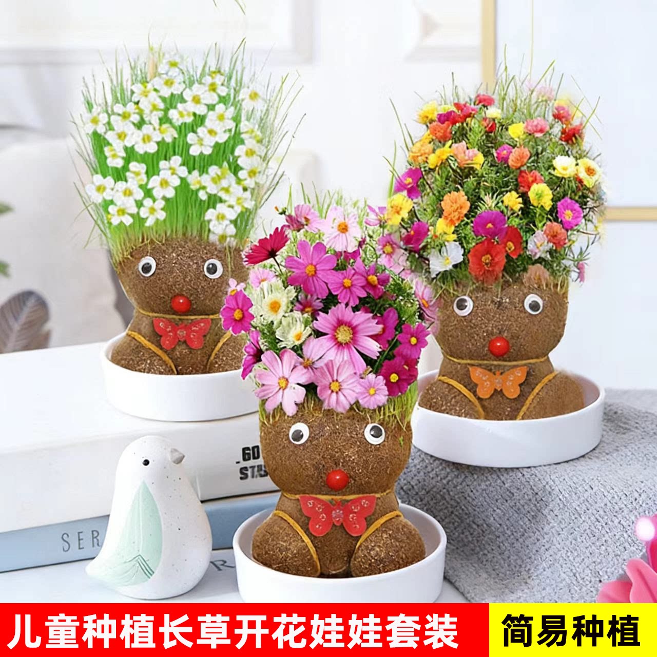 桌宠草头娃娃开花草绿植物水培小盆栽小草娃娃室内儿童创意水培
