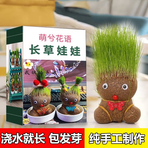 幼儿园浇水生长长草娃娃桌面摆件