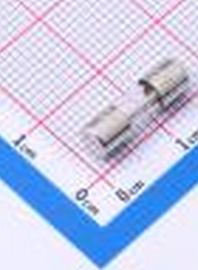 0229005.MXP 一次性保险丝 125V