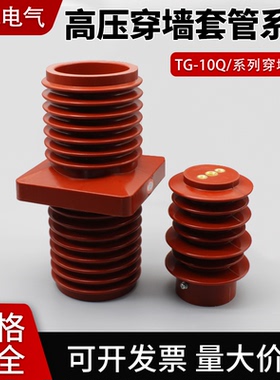 高压中置柜穿墙套管TG3-10Q/110*180环氧树脂多尺寸10KV单排 双排