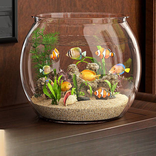 桌面鱼缸办公室透明圆形小型金鱼缸客厅家用乌龟缸水体培器皿