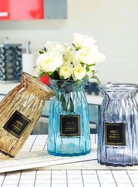 创意欧式玻璃花瓶透明彩色插花客