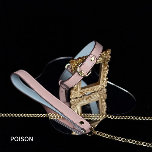 Poison 粉蓝拼接金属D皮质女定制刻字Choker项圈手环