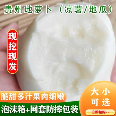 贵州凉薯现挖地瓜农家新鲜地萝卜凉薯白地瓜白土瓜可选大果