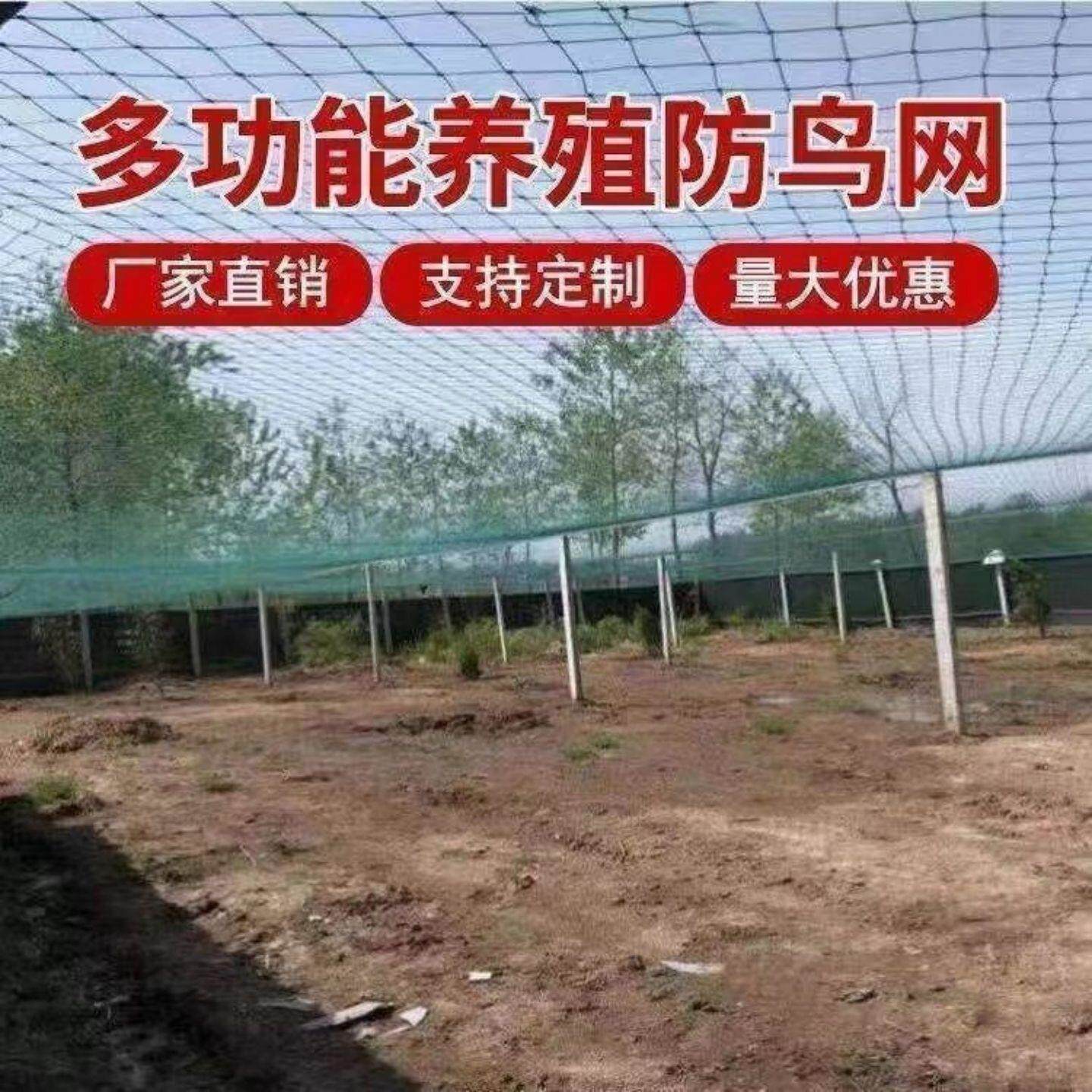 加粗加重拉网渔网拖网拉鱼网定做鱼塘隔网捕鱼网清塘网刮鱼网围网