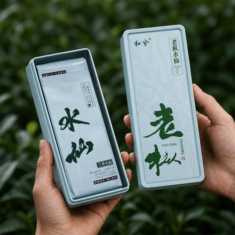 老枞水仙两泡铁盒品鉴装