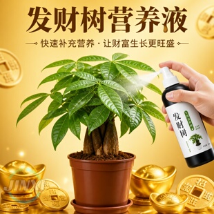 【猛长新芽】发财树专用营养液防黄叶黄斑壮苗根免稀释专用肥强效