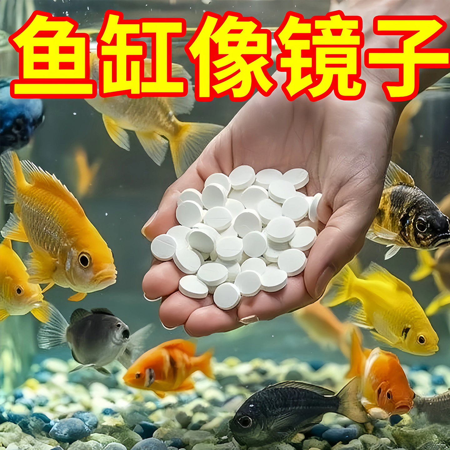 高分子净水片【分解粪便浓缩型】