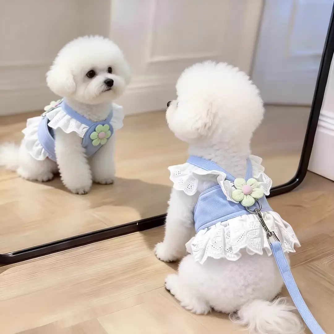 狗狗牵引绳小型犬蕾丝花边胸背裙甜美薄款幼犬外出专用衣服春夏季