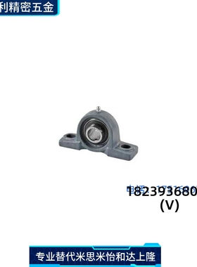 带座轴承T-BDL202G/BDL203G/BDL204G/BDL205G/BDL206G/207G/208G