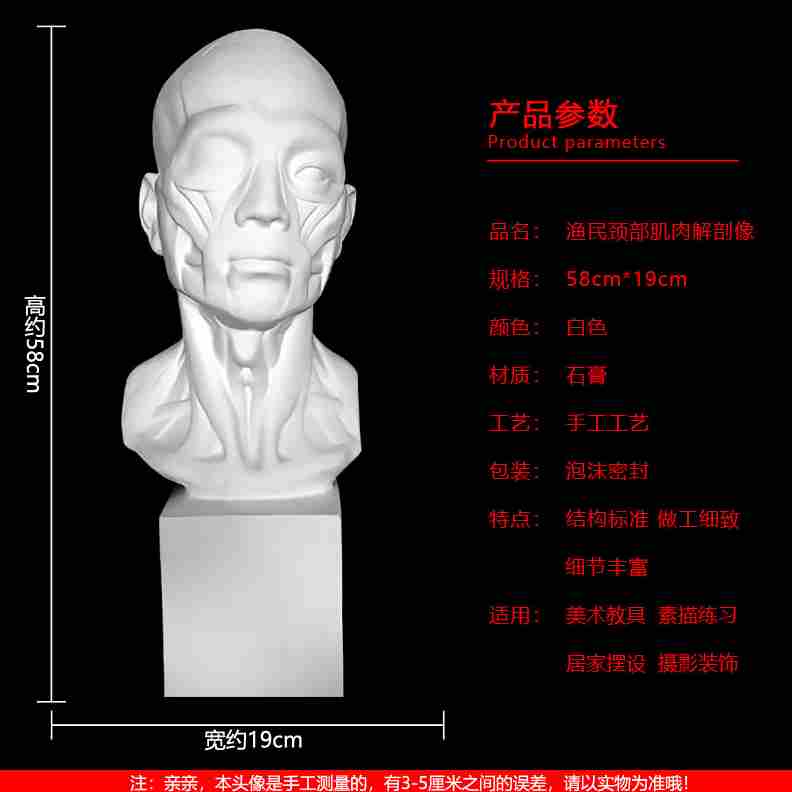 高档渔民颈部肌肉石膏头像独眼龙肌肉模型石膏教具人物解剖静物摆